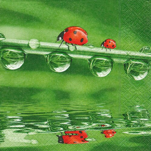 servilleta-decoupage-mariquitas-cute-and-crafts-santa-coloma-de-gramenet-barcelona-manualidades-scrapbooking