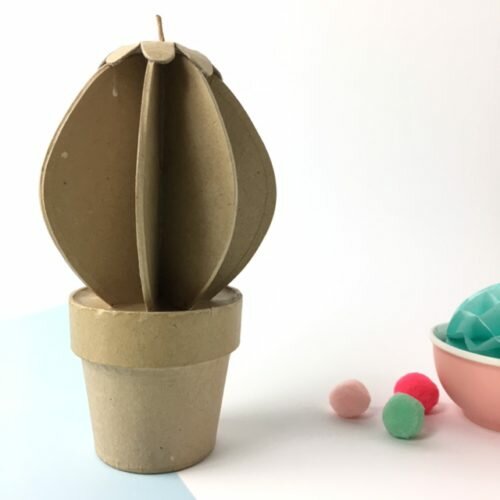 Cactus bola cartón craft Décopatch para decorar